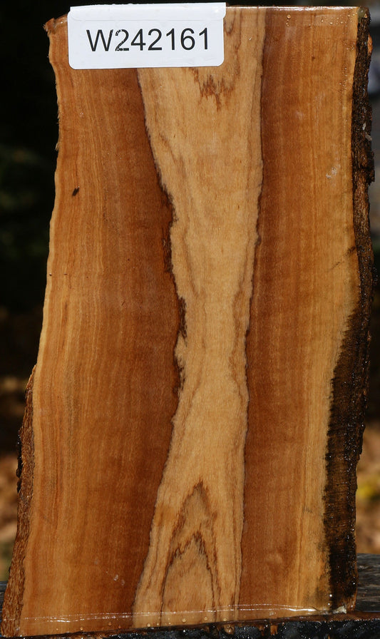 African Olive Live Edge Lumber