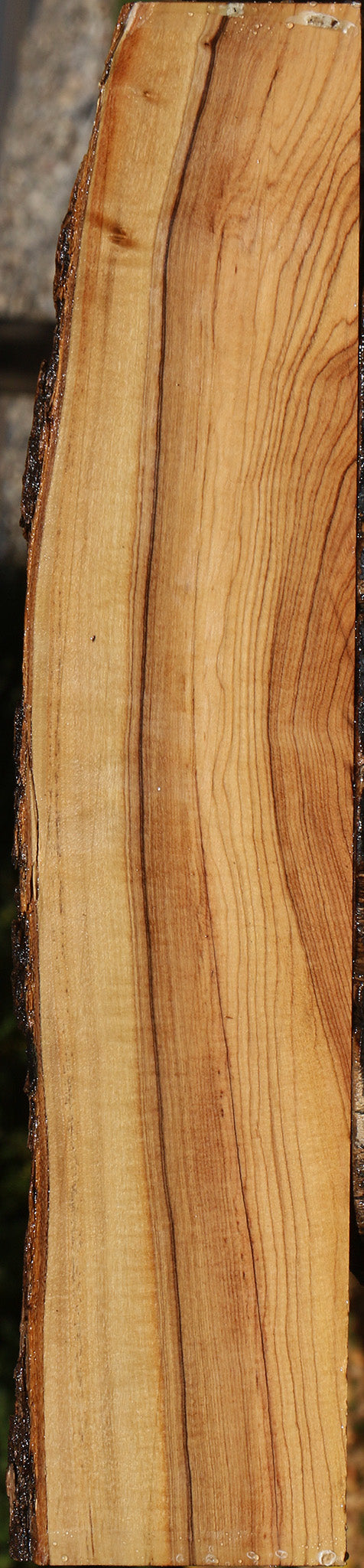 African Olive Live Edge Lumber
