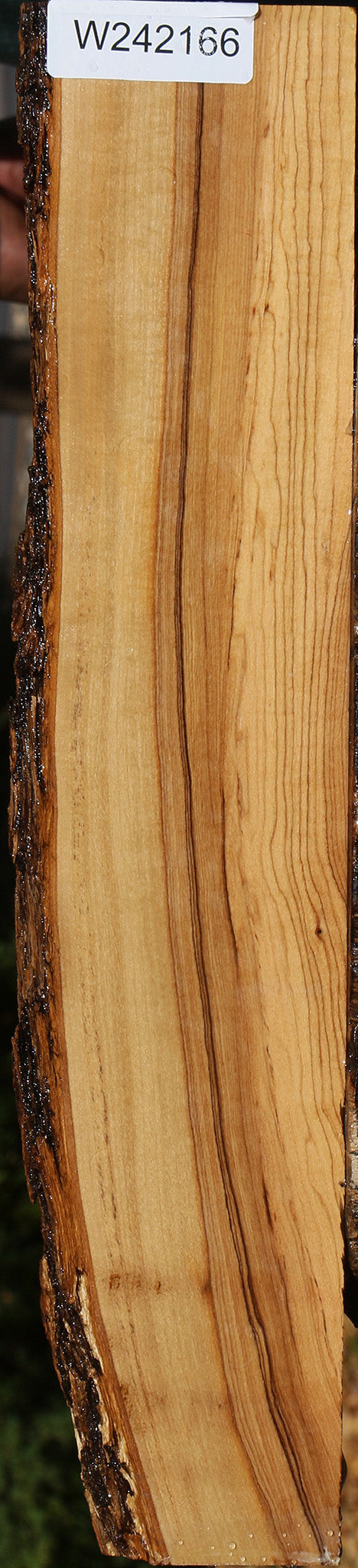 African Olive Live Edge Lumber