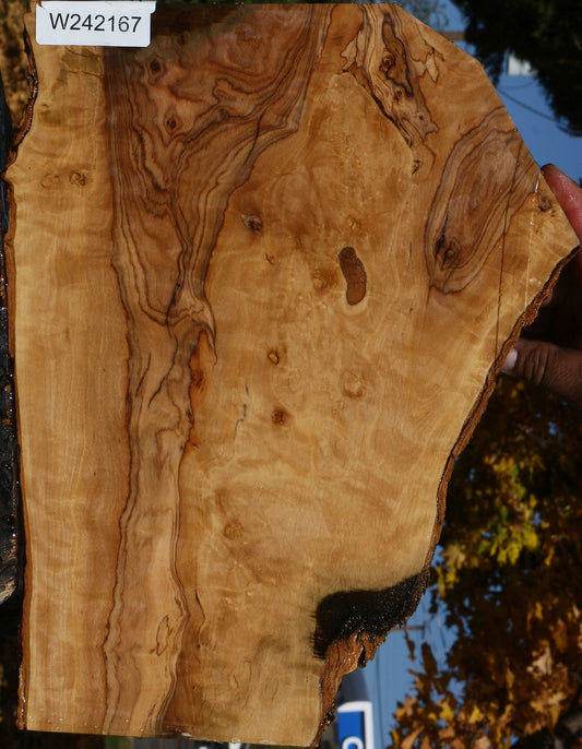 Figured African Olive Live Edge Micro Lumber