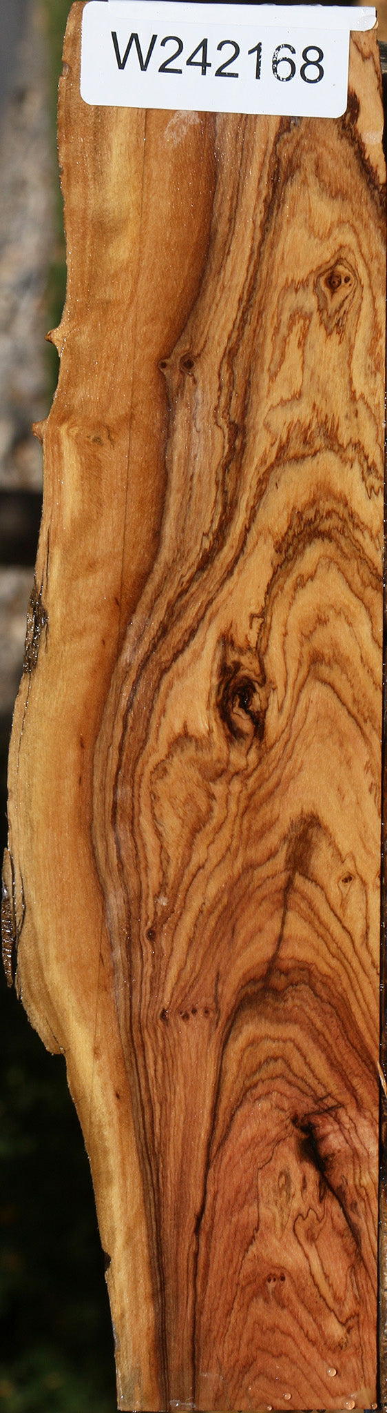 Extra Fancy African Olive Live Edge Lumber