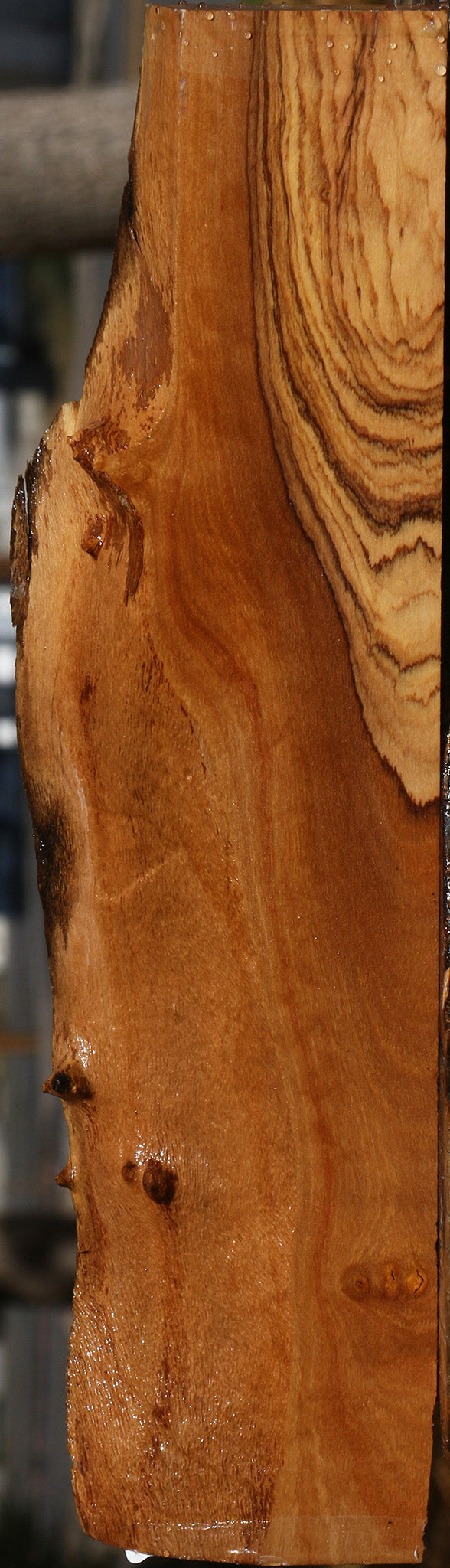 Extra Fancy African Olive Live Edge Lumber