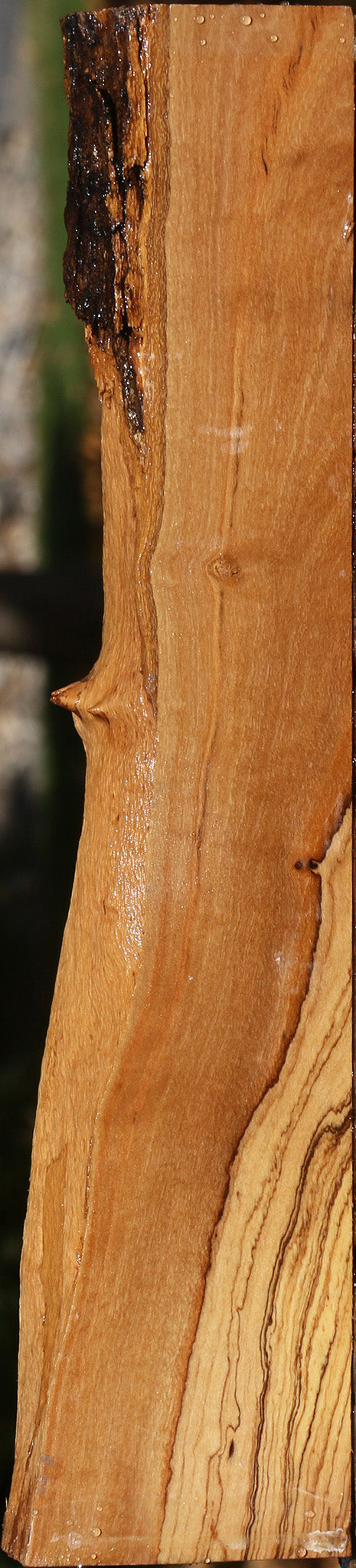 Figured African Olive Live Edge Lumber