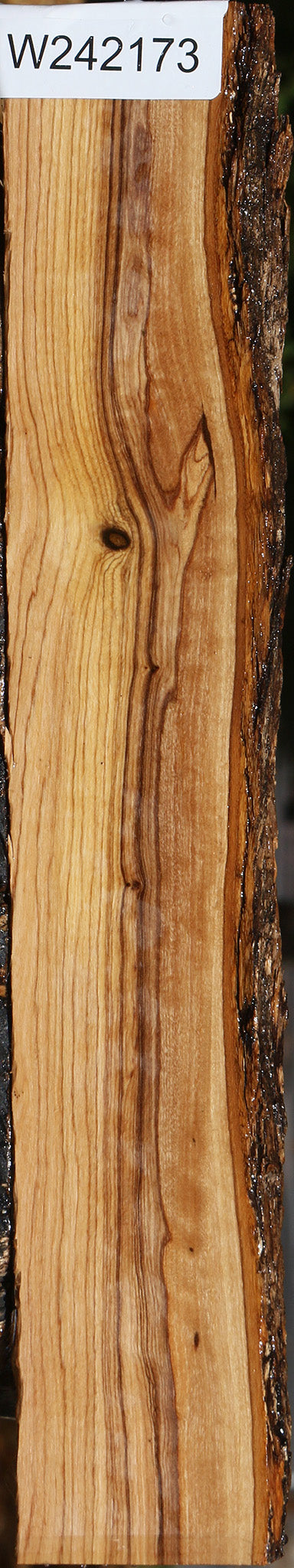 Extra Fancy African Olive Live Edge Lumber