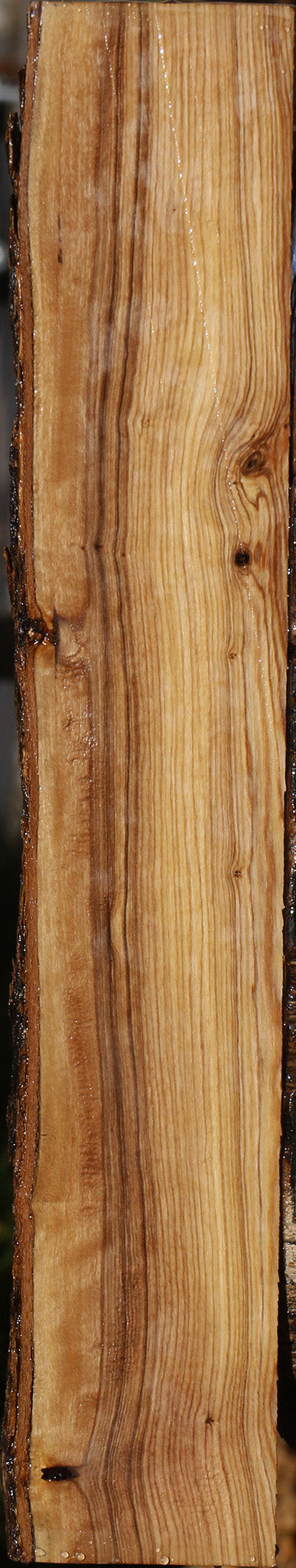 Extra Fancy African Olive Live Edge Lumber