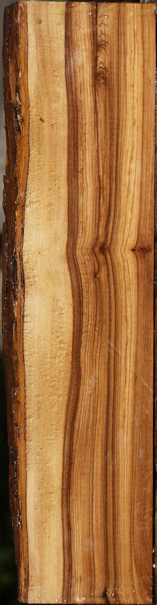 Extra Fancy African Olive Live Edge Lumber