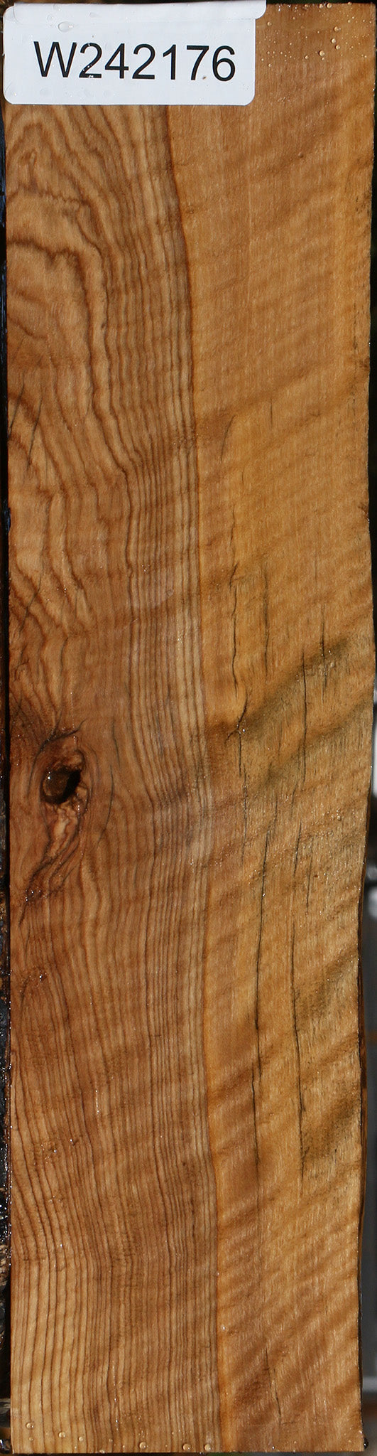 Figured African Olive Live Edge Lumber