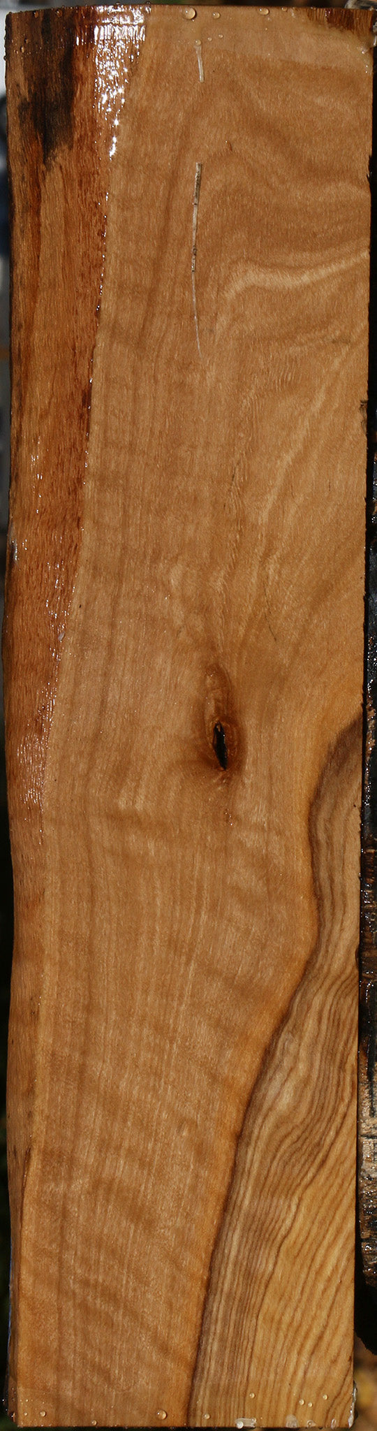 Figured African Olive Live Edge Lumber