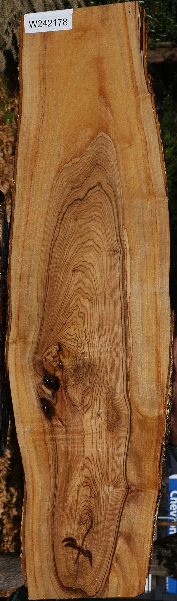 Figured African Olive Live Edge Lumber