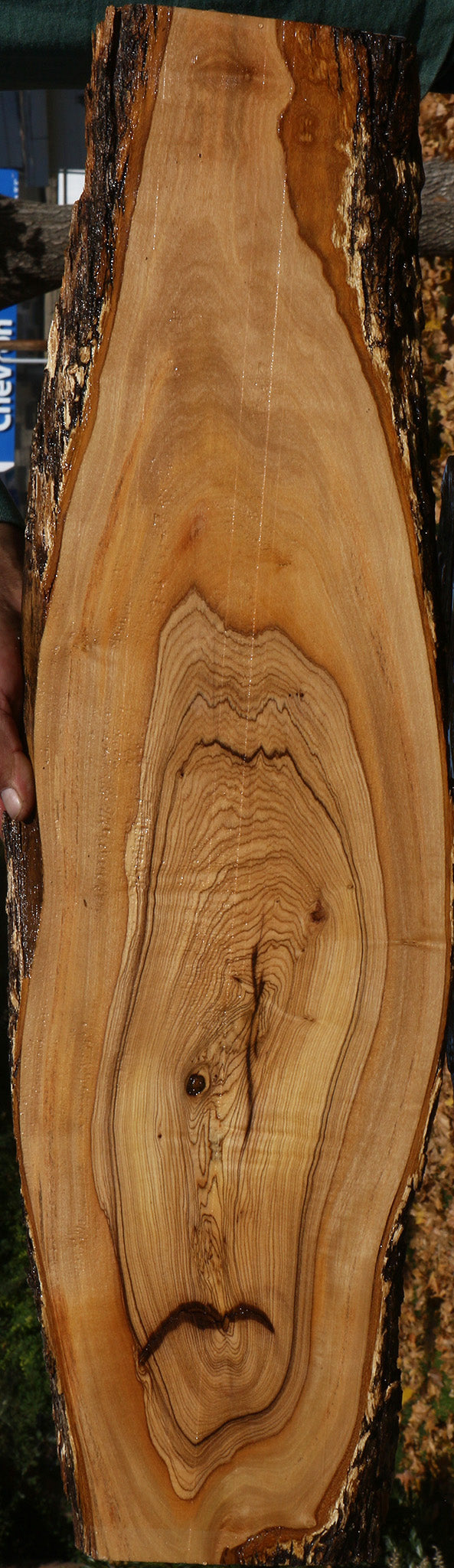 Figured African Olive Live Edge Lumber
