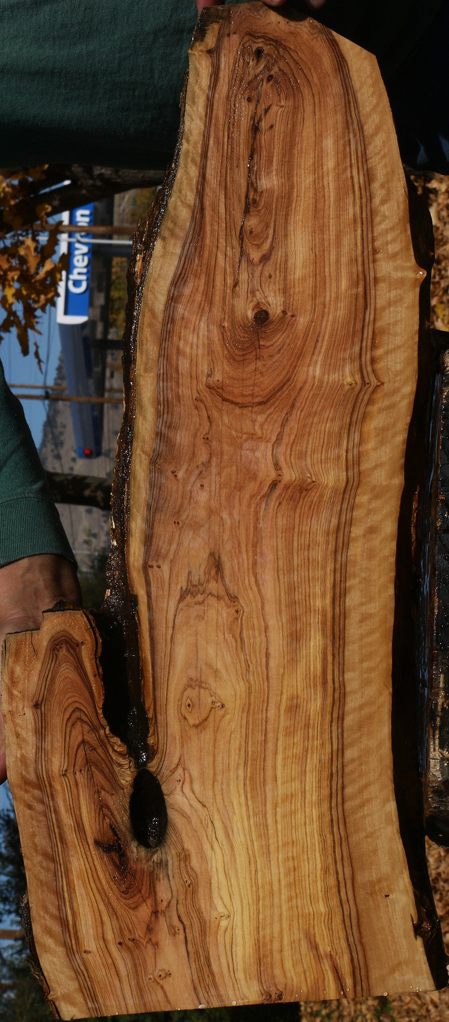 Extra Fancy African Olive Live Edge Lumber