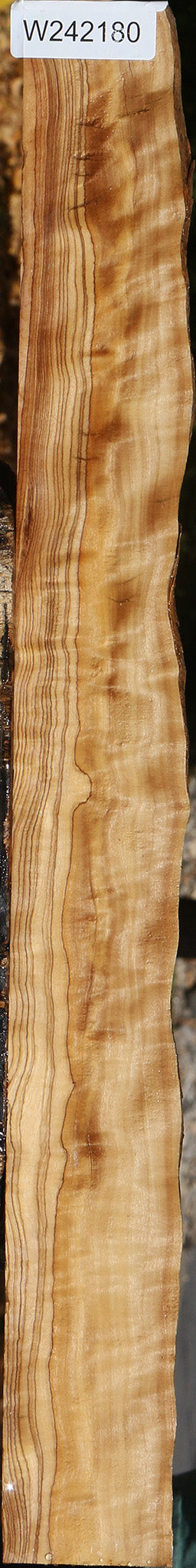 Figured African Olive Live Edge Lumber