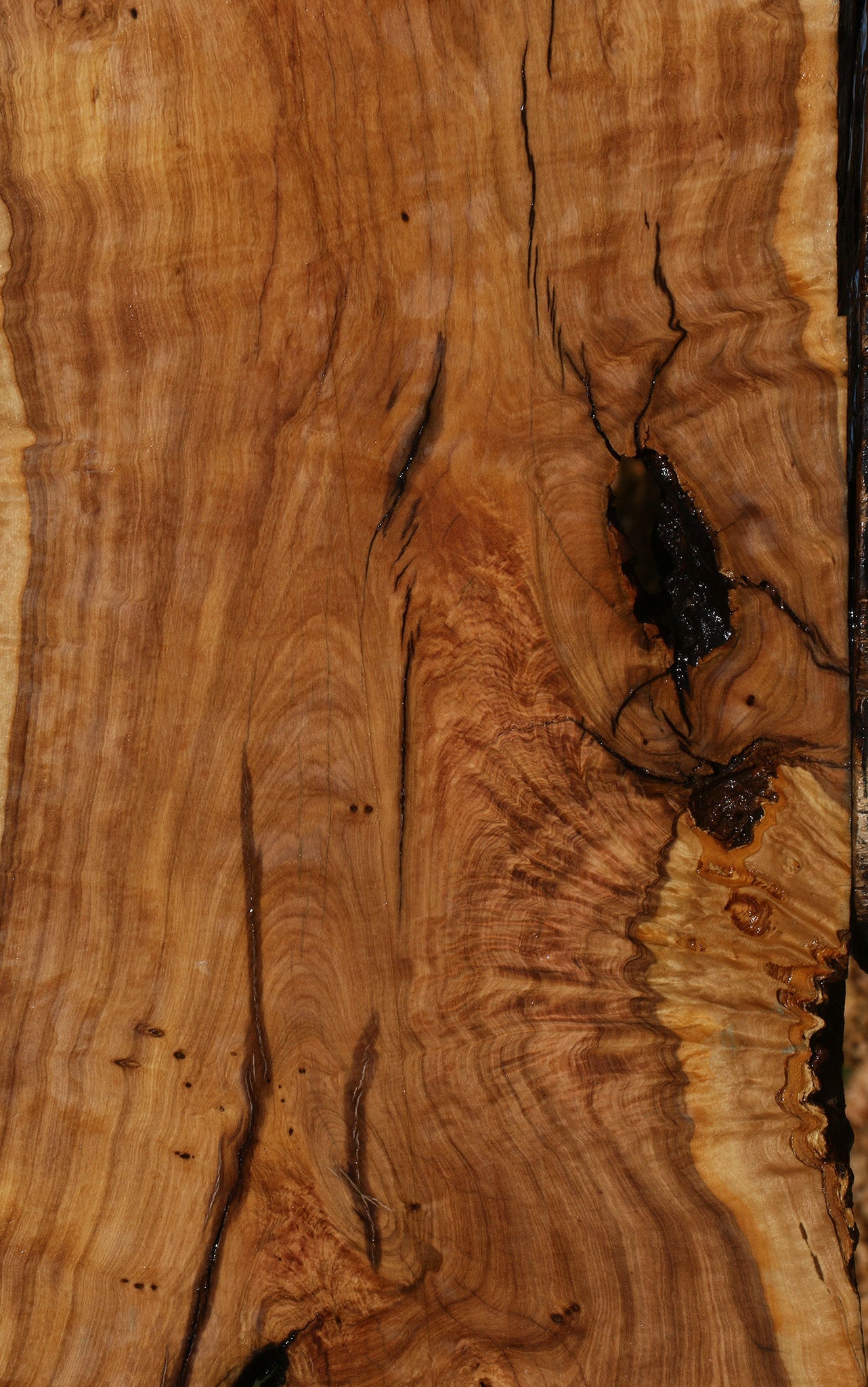 Extra Fancy African Olive Live Edge Lumber