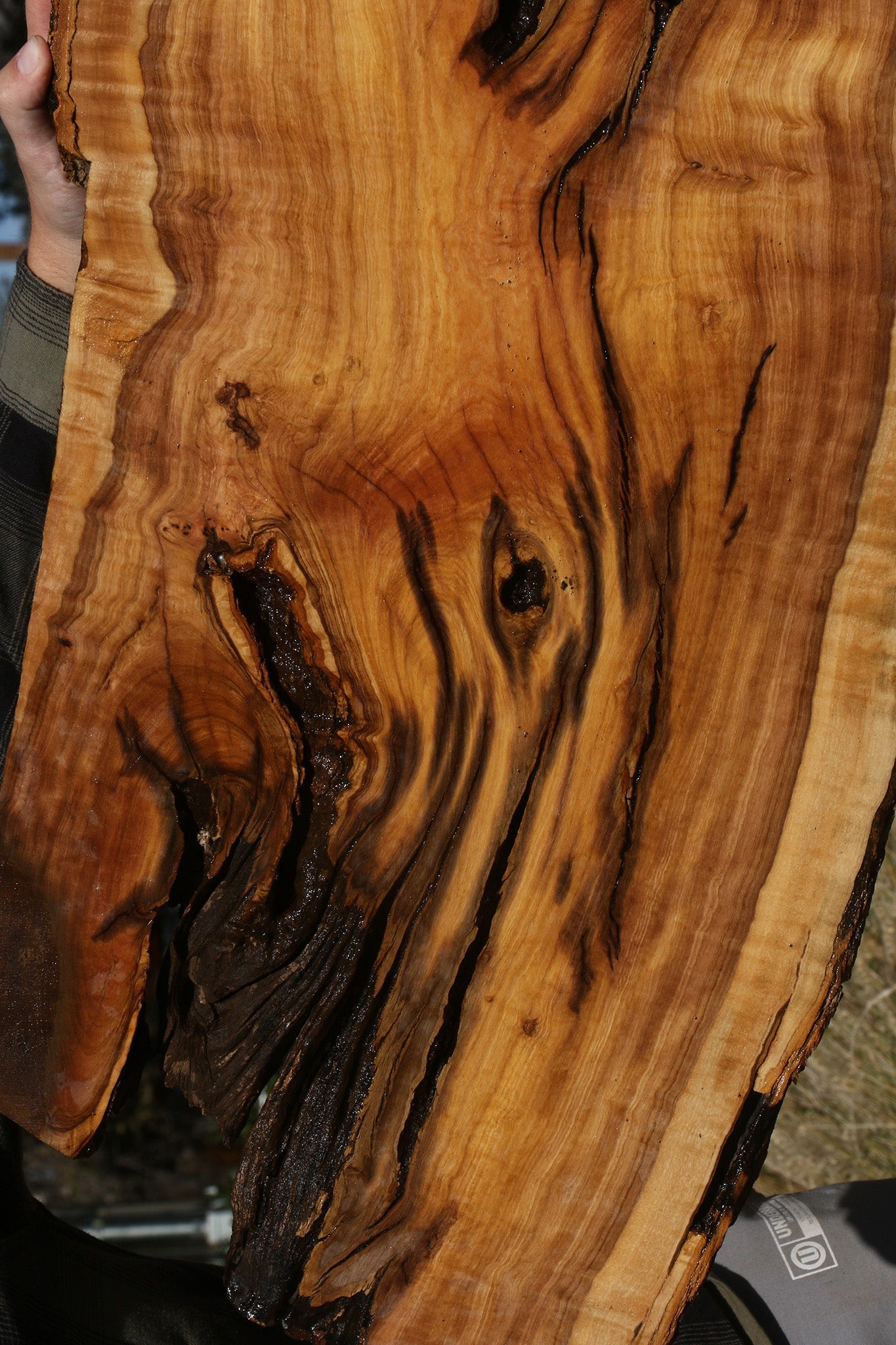 Extra Fancy African Olive Live Edge Lumber