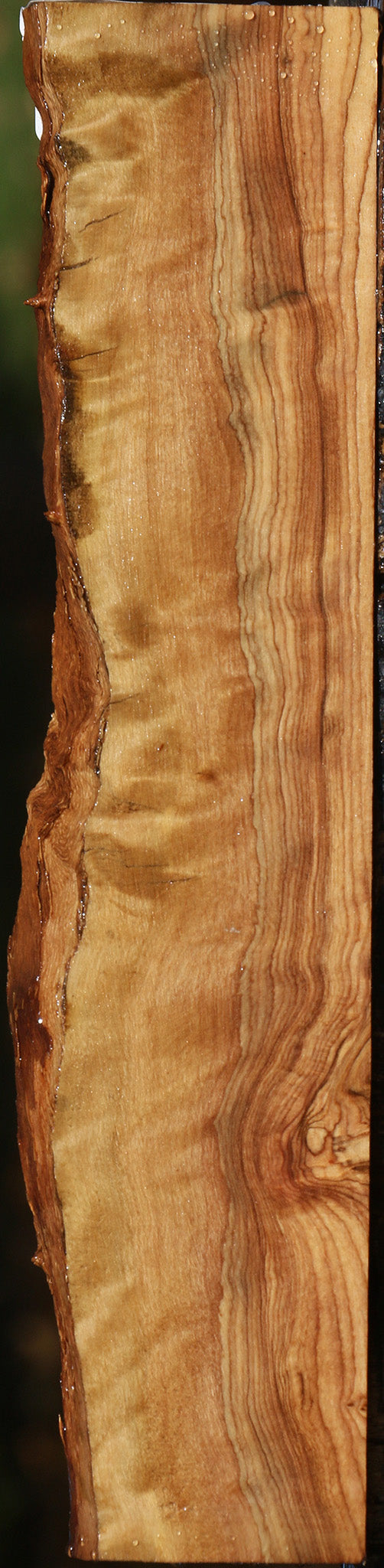 Extra Fancy African Olive Live Edge Lumber