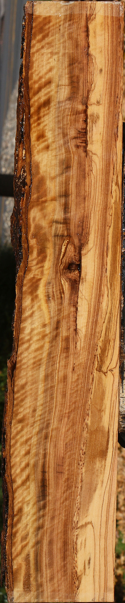Extra Fancy African Olive Live Edge Lumber