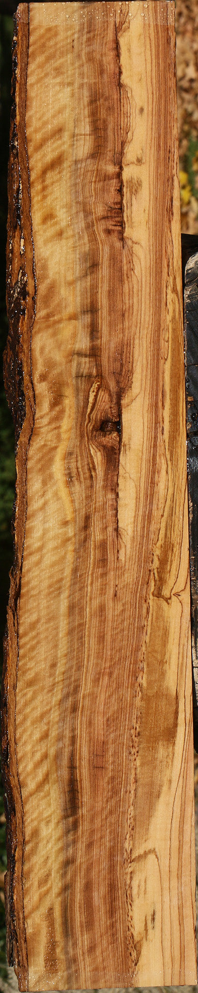 Extra Fancy African Olive Live Edge Lumber