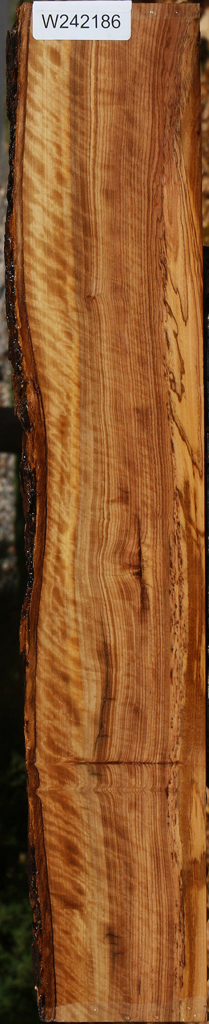 Extra Fancy African Olive Live Edge Lumber