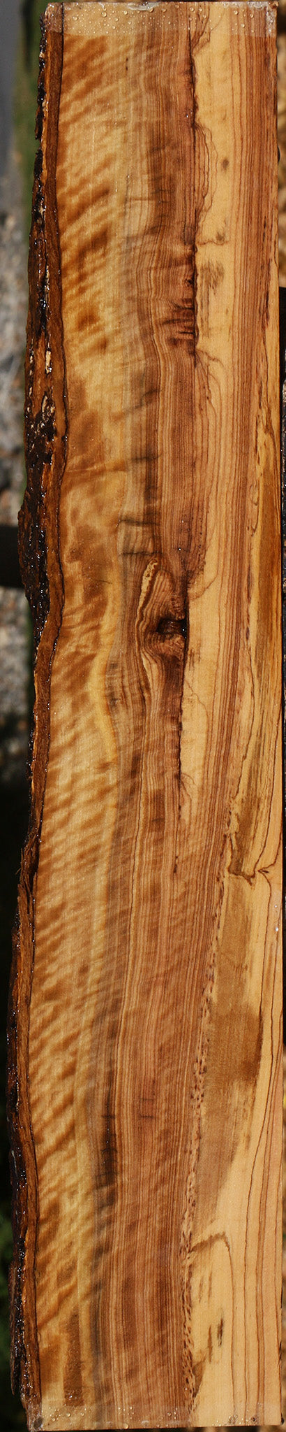 Extra Fancy African Olive Live Edge Lumber