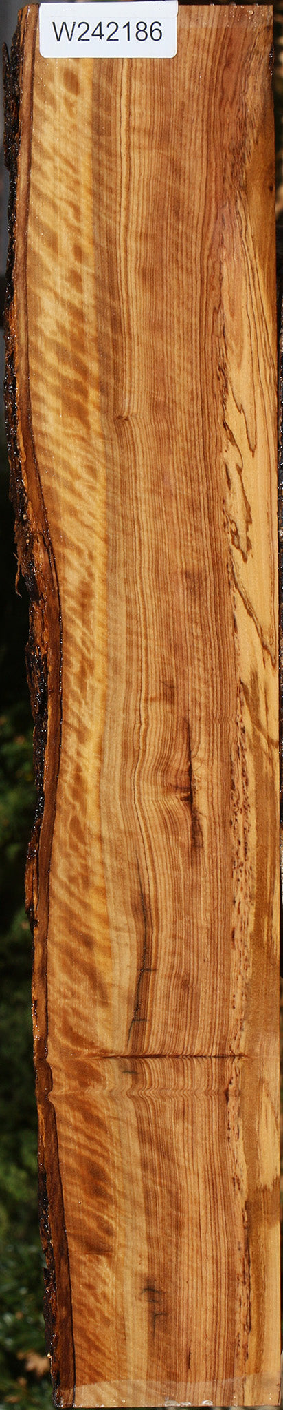 Extra Fancy African Olive Live Edge Lumber