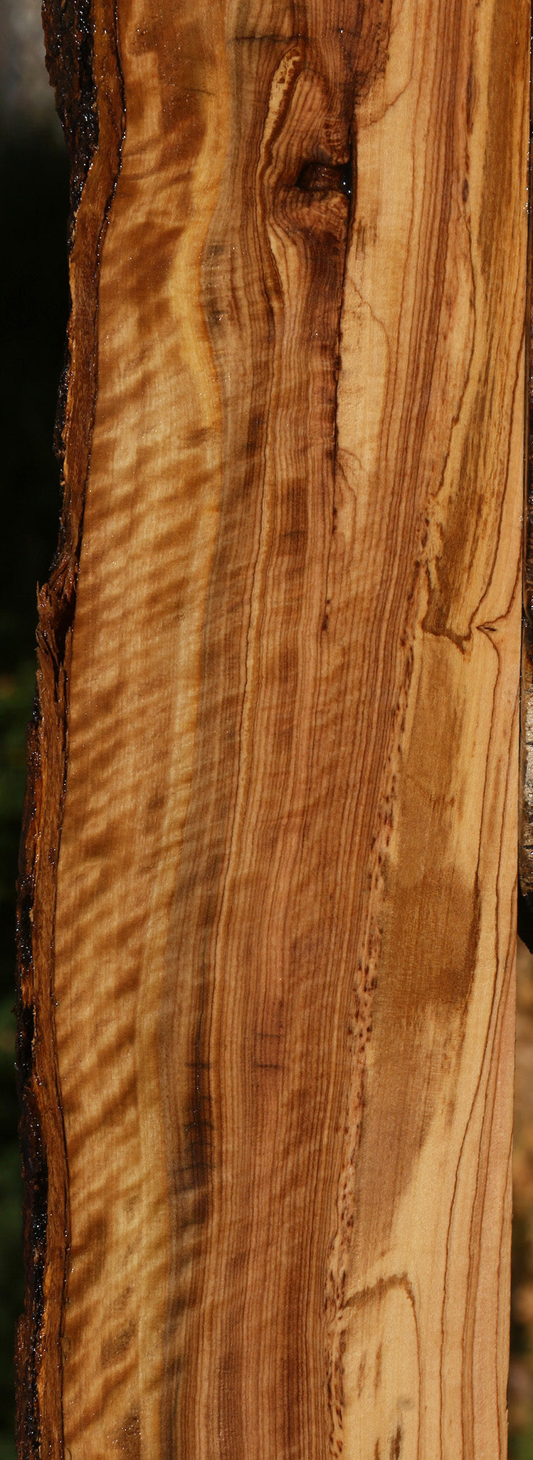 Extra Fancy African Olive Live Edge Lumber