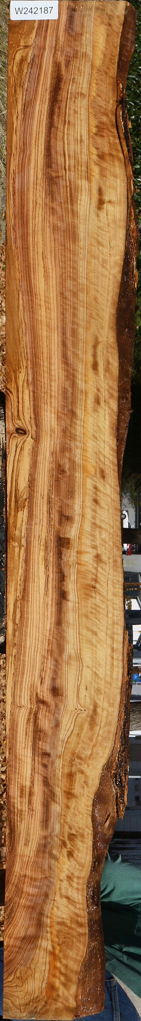Extra Fancy African Olive Live Edge Lumber