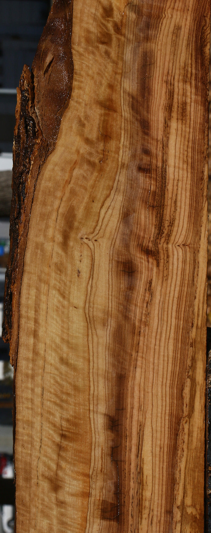 Extra Fancy African Olive Live Edge Lumber