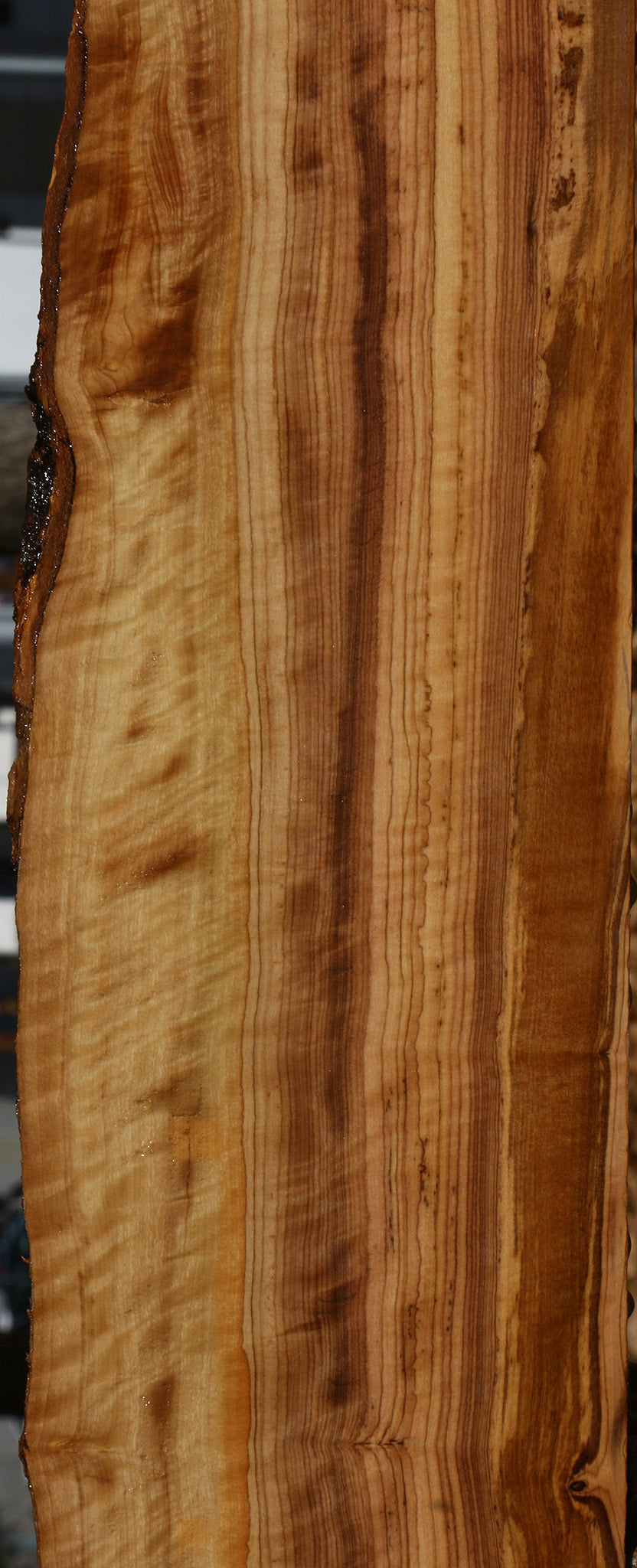 Extra Fancy African Olive Live Edge Lumber