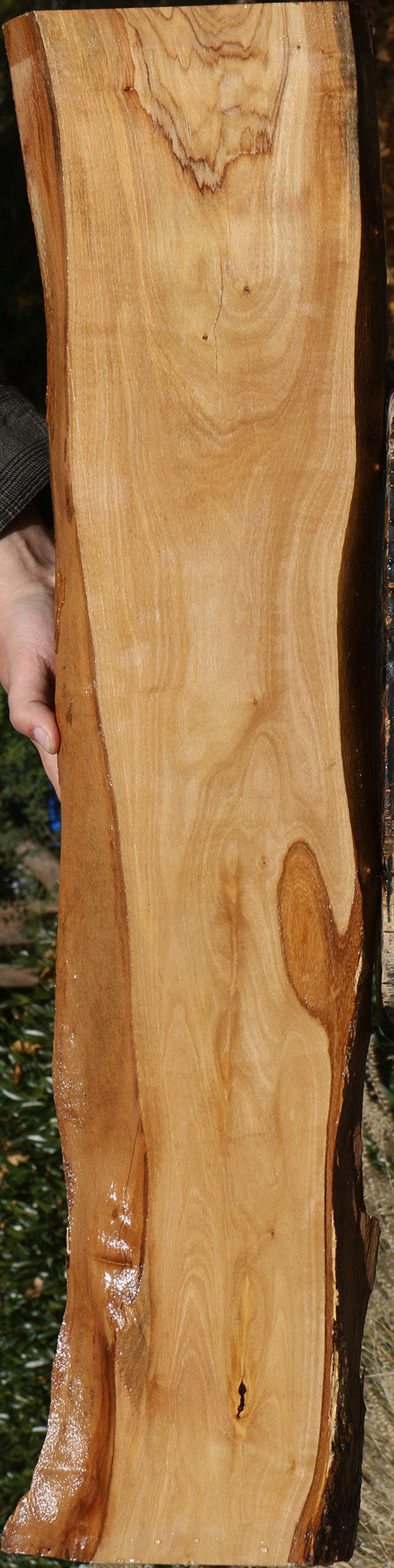 Figured African Olive Live Edge Lumber