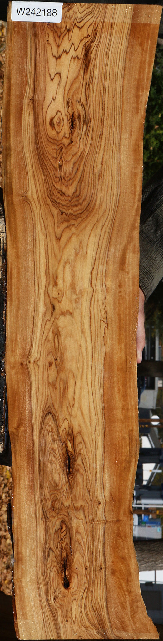 Figured African Olive Live Edge Lumber