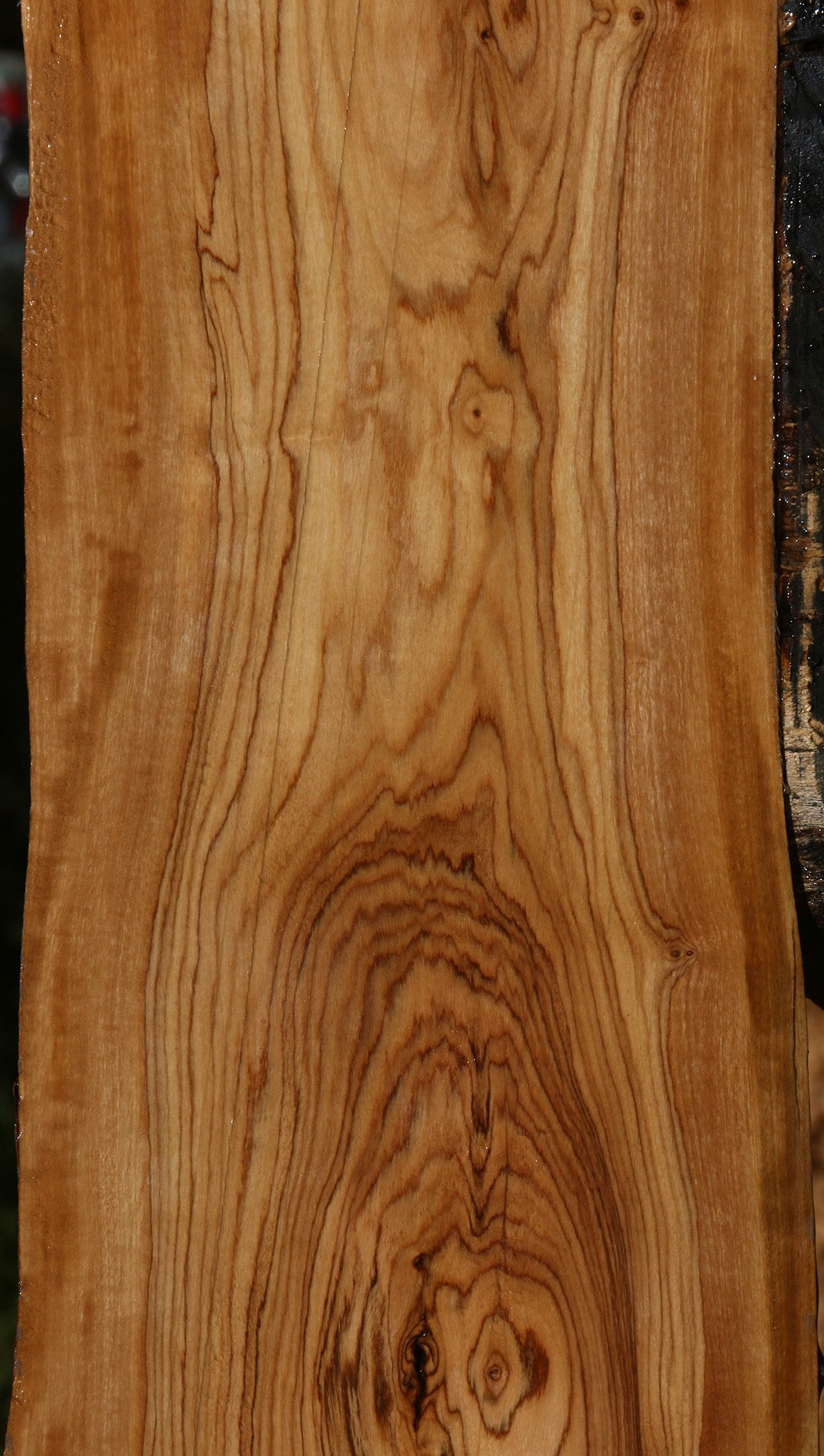 Figured African Olive Live Edge Lumber
