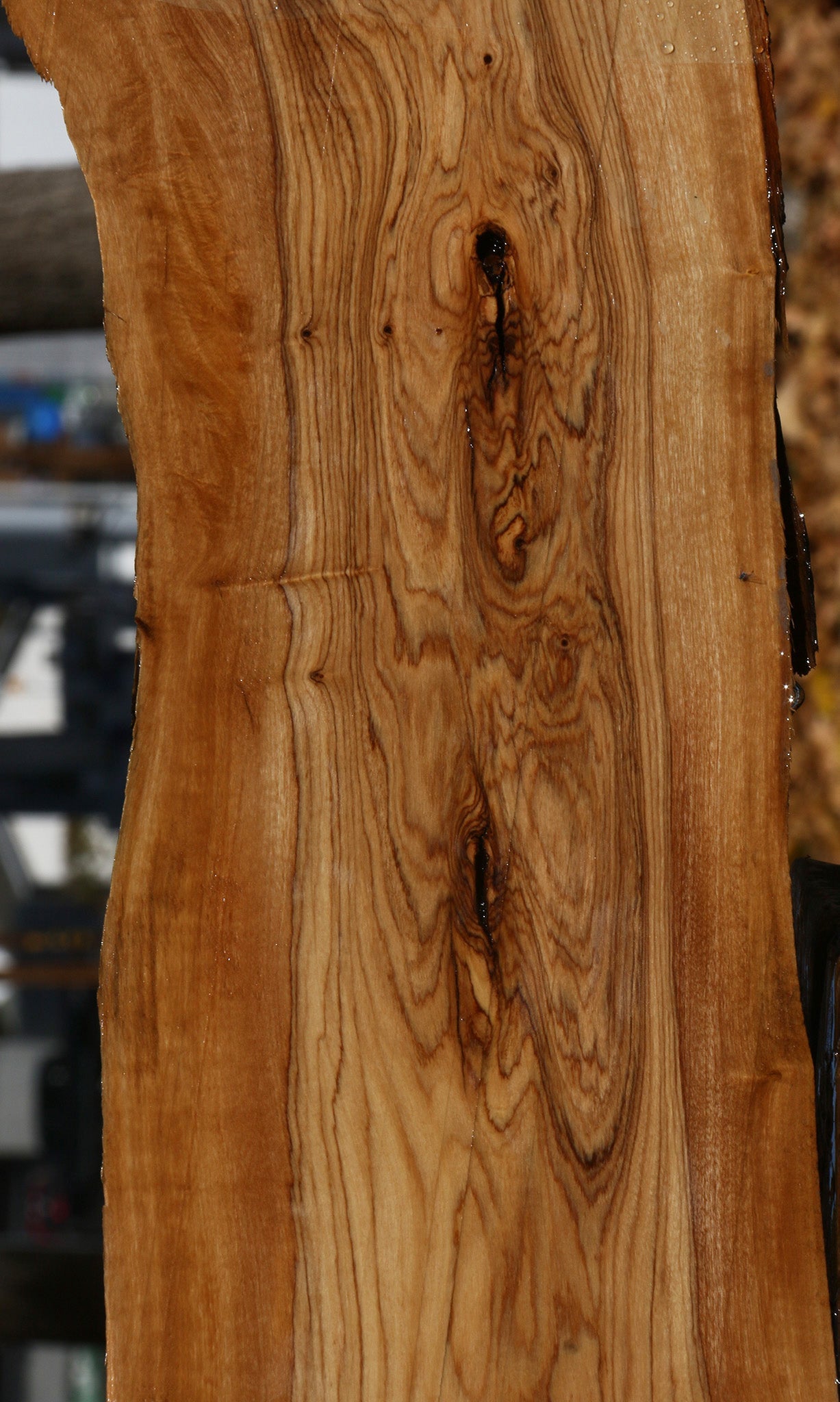 Figured African Olive Live Edge Lumber