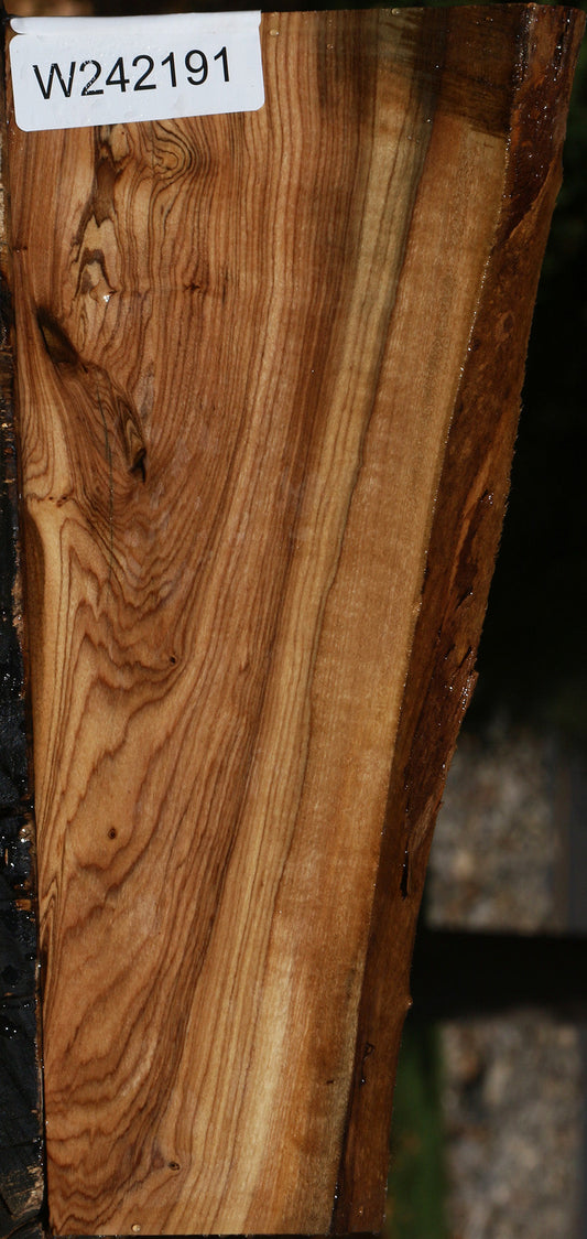 Figured African Olive Live Edge Lumber