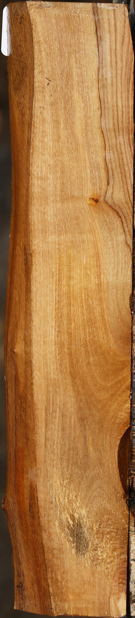 African Olive Live Edge Lumber