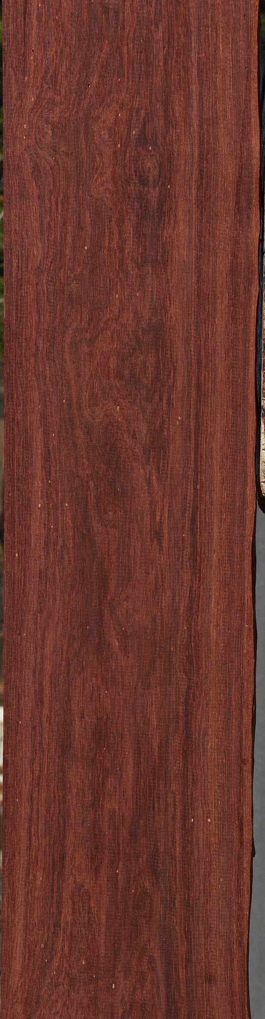 Madagascar Rosewood Lumber