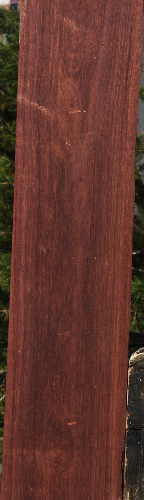Madagascar Rosewood Lumber