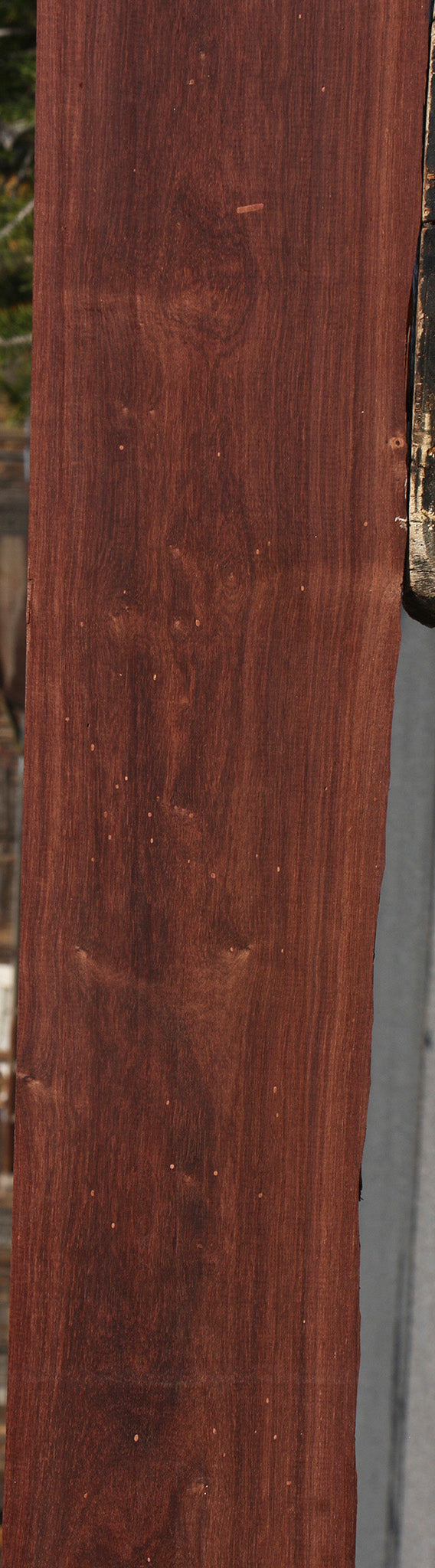 Madagascar Rosewood Lumber