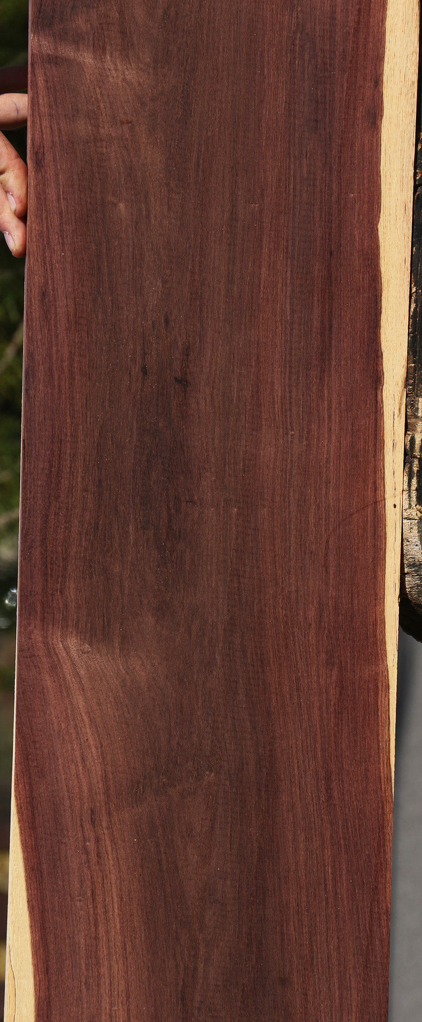 Madagascar Rosewood Instrument Lumber
