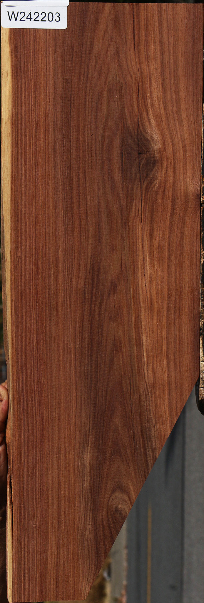 Madagascar Rosewood Instrument Lumber