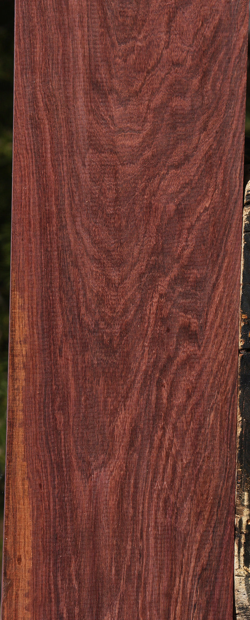 Figured Madagascar Rosewood Lumber