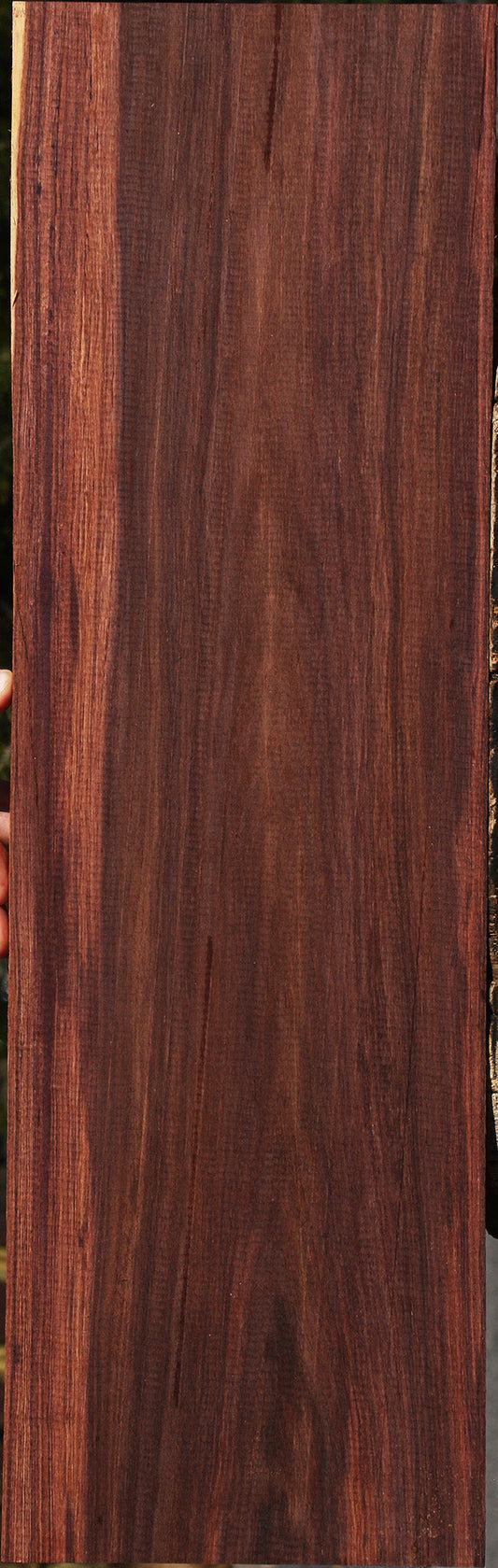 Madagascar Rosewood Instrument Lumber