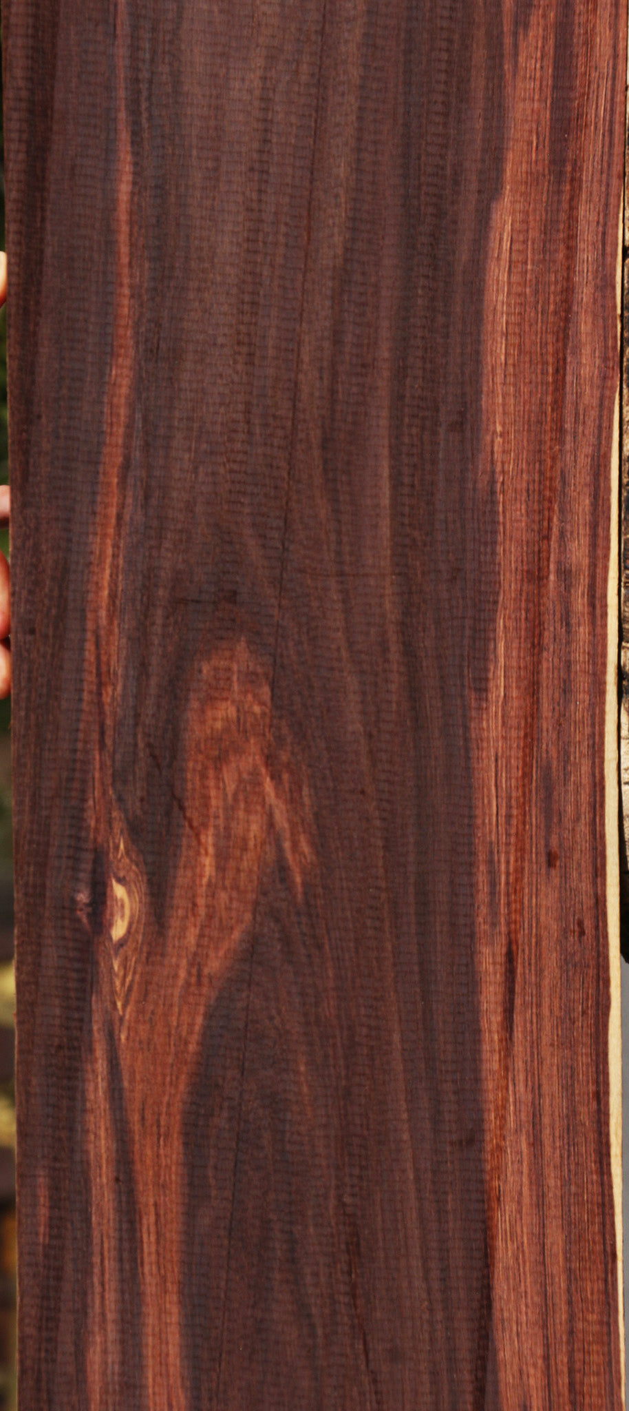 Madagascar Rosewood Instrument Lumber