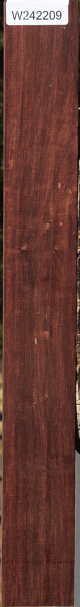 Quartersawn Madagascar Rosewood Lumber