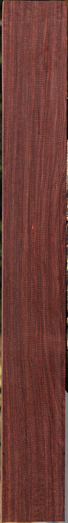 Quartersawn Madagascar Rosewood Lumber