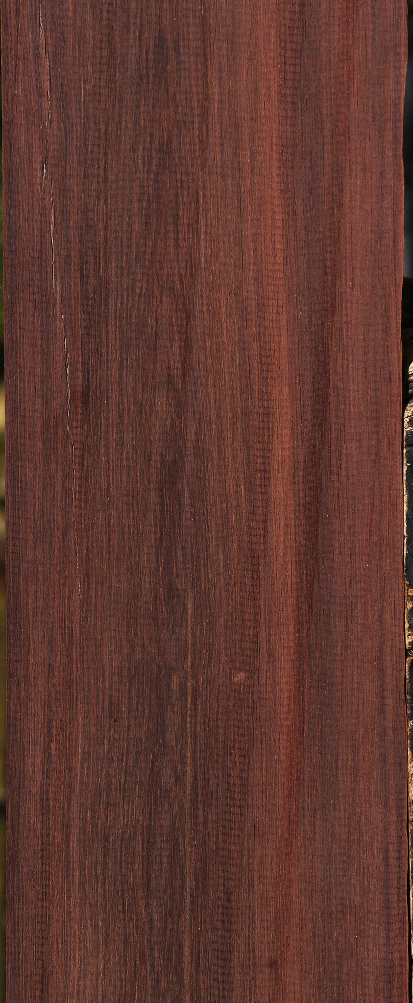 Madagascar Rosewood Lumber