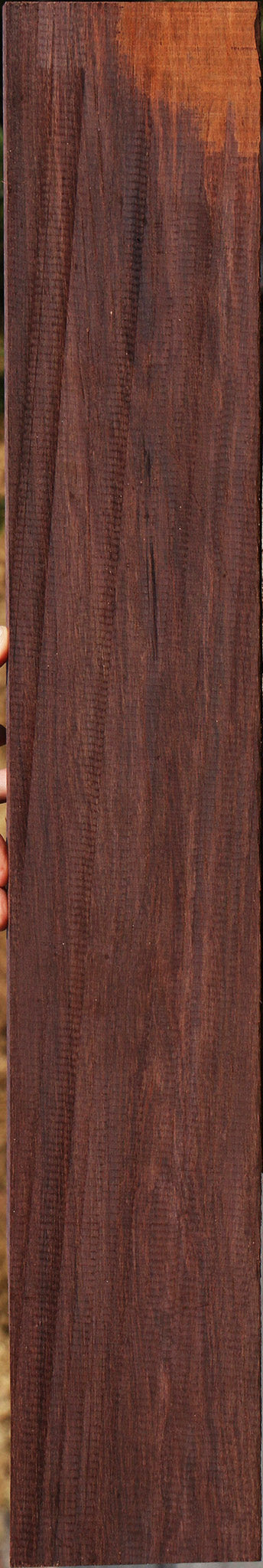 Madagascar Rosewood Lumber
