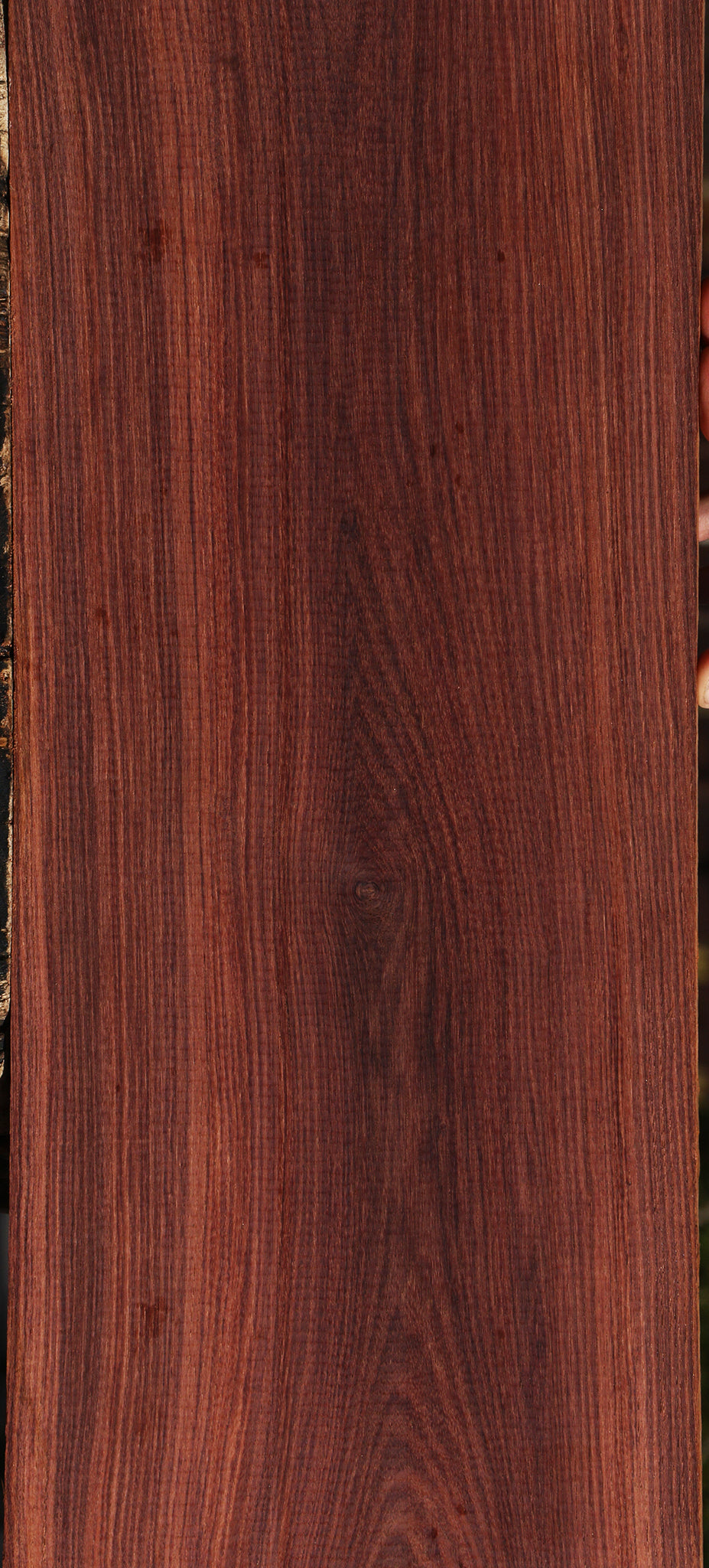 Madagascar Rosewood Lumber