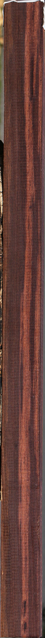 Madagascar Rosewood Lumber