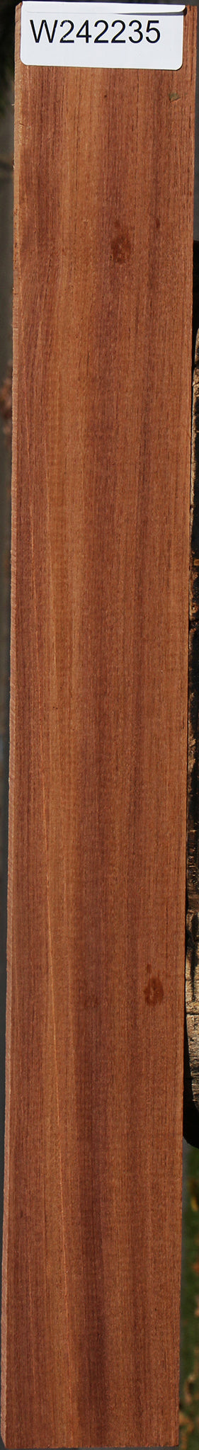 Madagascar Rosewood Lumber