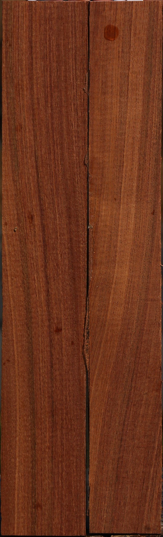 Madagascar Rosewood Lumber 2 Pack